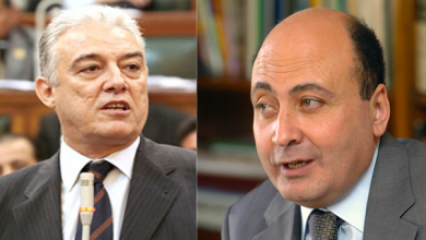 أسامة سرايا وحسين فهمى